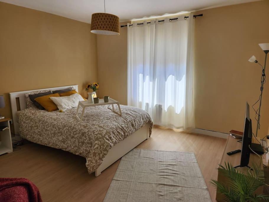 Moderno Apartamento Cerca Del Centro En Leon Ngoại thất bức ảnh